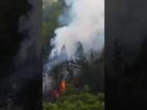 Incendio forestal en la vía a La Siria, vía antigua a Chinchiná