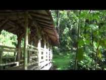 A explorar y andar Bosques de Chec