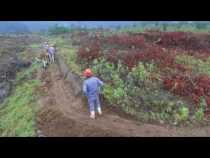 Extinta zona franca se oferta por pedazos