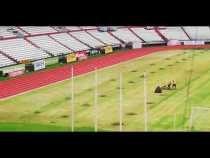 Mañana inaugurarán la pista atlética del estadio Palogrande