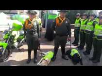 Plan Semana Santa Manizales 2019