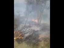 Incendio forestal en vereda de Pácora