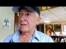 Afluencia de votantes en Chinchiná y Palestina