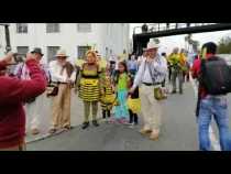 Así se desarrolla el sepelio simbólico por las abejas en Manizales