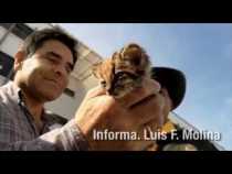 #LPTVEsencial Informativo web 29 de enero del 2019