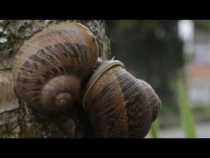 #LPTVEsencial: noticias destacadas del 22 de junio