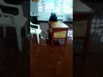 Inundación  IE Alfonso López La Dorada