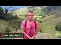 Aguacate por fuentes de agua en Aguadas (Caldas)