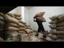 Preocupación por el precio del café en Cafecol