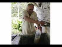 Contaminación del agua en cuatro veredas de Risaralda (Caldas)