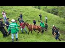 Rescate de caballo en Cerro de Oro
