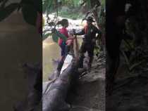 Cinco capturados por minería ilegal en Victoria (Caldas)