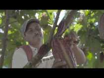 Nueva versión del video del Himno de Caldas