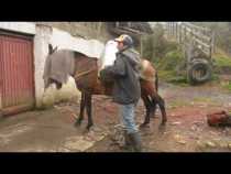 Vecinos del Ruiz reclaman atención en salud