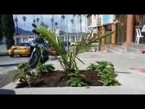 Esta es la nueva cara la avenida Las Araucarias