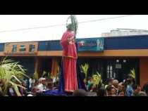 Procesión del Domingo de Ramos en Manizales