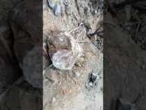 Deslizamiento de roca en sector de Cien Pesos en Marmato