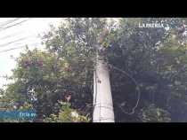 Denuncie: Avenida Lindsay, Coliseo Menor y Velódromo