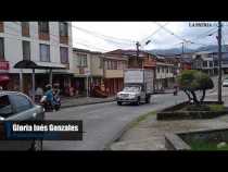 El arbusto no deja ver en San Jorge