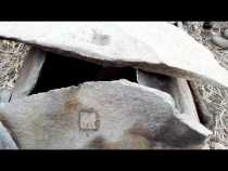 Tumbas de cancel en la vereda Volcanes de Santa Rosa de Cabal