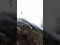 Incendio forestal en el cerro El Recreo (Villamaría)