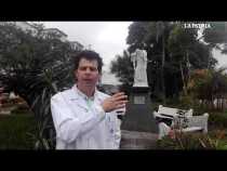 Lupa a la enfermedad mental