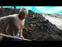 Convites en el barrio Gonzáles