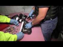 Capturaron a 36 personas en 21 allanamientos en Caldas