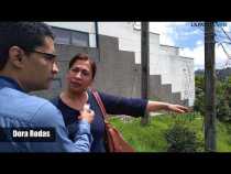 Escalas invadidas por la maleza en Los Cedros