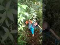 Rescate de heridos entre Ansema y Guatica