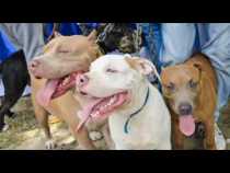 #LPTVEsencial Informativo web 21 de noviembre del 2018