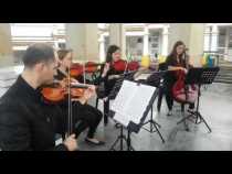 Música en el día de los muertos