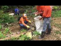 Anserma, de limpieza por el Día Mundial del Agua