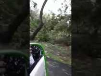 Vendaval en Guarinocito corregimiento de La Dorada