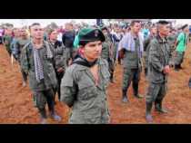 LPTV Esencial, informativo web 20 de marzo del 2018