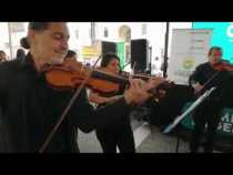 #LPTVEsencial Informativo web 10 de marzo del 2020