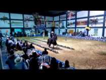 XII Exposición Equina grado B en Aranzazu