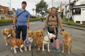 Paseo de perros, un negocio que empieza a morder duro