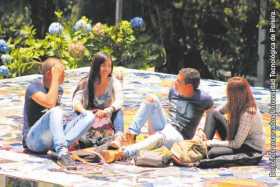 UTP ¡una excelente opción!