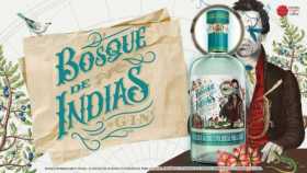 Industria Licorera de Caldas invita a explorar sensaciones con su nuevo Gin Bosque de Indias