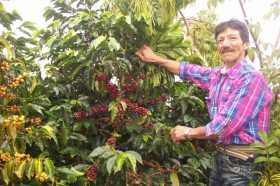 Fotos | Marta Elena Monroy | LA PATRIA