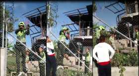 La iguana fue entregada a Corpocaldas. 