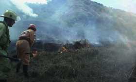 Incendio consume pasto y vegetación en la vereda La Palma de Filadelfia. 