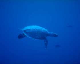 Foto | Colprensa | LA PATRIA