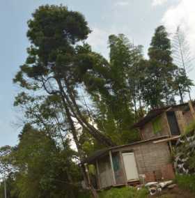 Foto | Fredy Arango | LA PATRIA