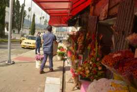 Foto | Freddy Arango | LA PATRIA Los vendedores de flores de la avenida Las Araucarias están inconformes con una zanja que hicie