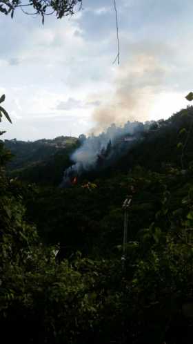 Incendio forestal en el sector de La Siria, vía antigua a Chinchiná