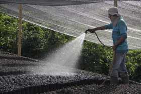 Listos $45 mil millones para renovación