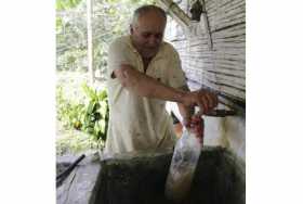 Jaime Moncada recoge agua contaminada por los desechos del beneficio del café y vertimiento de aguas residuales. 