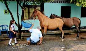 Un hombre arregla los cascos de su caballo en Morelia, primer municipio de los 170 donde se aplicarán los PDET. 